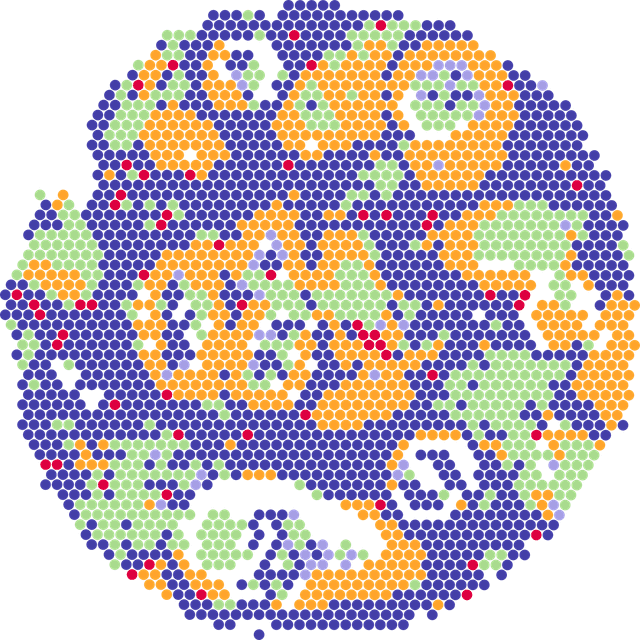 Spatial transcriptomics tissue visualization